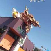 ヒメ日記 2025/10/10 16:34 投稿 賀川 りょう 30代40代50代と遊ぶなら博多人妻専科24時