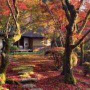 ヒメ日記 2025/10/13 17:39 投稿 賀川 りょう 30代40代50代と遊ぶなら博多人妻専科24時