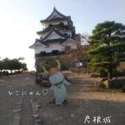 ヒメ日記 2025/11/01 12:16 投稿 賀川 りょう 30代40代50代と遊ぶなら博多人妻専科24時