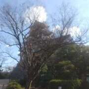 ヒメ日記 2025/12/30 17:41 投稿 賀川 りょう 30代40代50代と遊ぶなら博多人妻専科24時