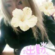 ヒメ日記 2026/02/06 19:46 投稿 賀川 りょう 30代40代50代と遊ぶなら博多人妻専科24時