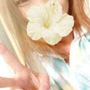 ヒメ日記 2026/02/07 03:17 投稿 賀川 りょう 30代40代50代と遊ぶなら博多人妻専科24時