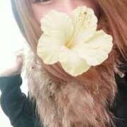 ヒメ日記 2026/02/09 17:28 投稿 賀川 りょう 30代40代50代と遊ぶなら博多人妻専科24時