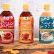 ヒメ日記 2026/02/10 22:43 投稿 賀川 りょう 30代40代50代と遊ぶなら博多人妻専科24時