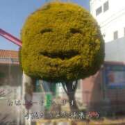 ヒメ日記 2026/02/16 09:47 投稿 賀川 りょう 30代40代50代と遊ぶなら博多人妻専科24時