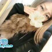 ヒメ日記 2026/02/17 20:56 投稿 賀川 りょう 30代40代50代と遊ぶなら博多人妻専科24時