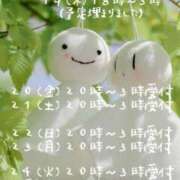 ヒメ日記 2026/03/18 20:17 投稿 賀川 りょう 30代40代50代と遊ぶなら博多人妻専科24時