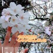 ヒメ日記 2026/04/06 21:05 投稿 賀川 りょう 30代40代50代と遊ぶなら博多人妻専科24時