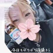 ヒメ日記 2026/04/07 08:39 投稿 賀川 りょう 30代40代50代と遊ぶなら博多人妻専科24時