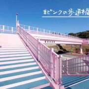 ヒメ日記 2026/04/07 15:44 投稿 賀川 りょう 30代40代50代と遊ぶなら博多人妻専科24時