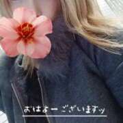 ヒメ日記 2026/04/17 08:45 投稿 賀川 りょう 30代40代50代と遊ぶなら博多人妻専科24時