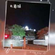 ヒメ日記 2026/04/17 18:22 投稿 賀川 りょう 30代40代50代と遊ぶなら博多人妻専科24時