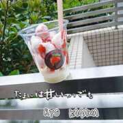 ヒメ日記 2026/04/24 16:50 投稿 賀川 りょう 30代40代50代と遊ぶなら博多人妻専科24時