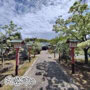 ヒメ日記 2026/04/26 18:49 投稿 賀川 りょう 30代40代50代と遊ぶなら博多人妻専科24時