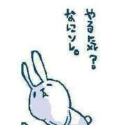 ヒメ日記 2026/05/07 15:55 投稿 賀川 りょう 30代40代50代と遊ぶなら博多人妻専科24時