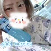 ヒメ日記 2026/05/11 08:23 投稿 賀川 りょう 30代40代50代と遊ぶなら博多人妻専科24時