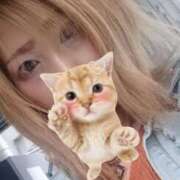 ヒメ日記 2026/07/14 06:14 投稿 賀川 りょう 30代40代50代と遊ぶなら博多人妻専科24時