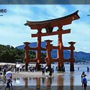 ヒメ日記 2026/08/20 20:05 投稿 賀川 りょう 30代40代50代と遊ぶなら博多人妻専科24時