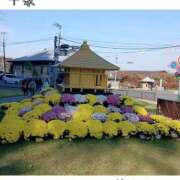 ヒメ日記 2026/10/19 14:16 投稿 賀川 りょう 30代40代50代と遊ぶなら博多人妻専科24時