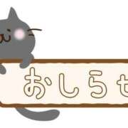 ヒメ日記 2025/02/22 19:30 投稿 さえこ 即プレイ専門店　即ヤリの極み