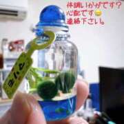 ヒメ日記 2025/10/08 09:47 投稿 ひとみ 桃色奥様 松戸本店