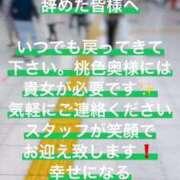 ヒメ日記 2025/10/24 17:50 投稿 ひとみ 桃色奥様 松戸本店