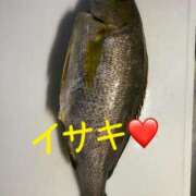 ヒメ日記 2025/10/26 17:16 投稿 ひとみ 桃色奥様 松戸本店