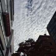 ヒメ日記 2025/11/01 18:37 投稿 ひとみ 桃色奥様 松戸本店