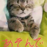 ヒメ日記 2025/12/01 12:01 投稿 ひとみ 桃色奥様 松戸本店