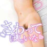 ヒメ日記 2026/01/30 18:05 投稿 ひとみ 桃色奥様 松戸本店