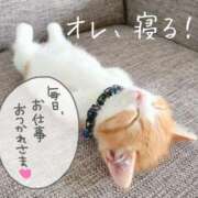 ヒメ日記 2026/03/03 07:07 投稿 ひとみ 桃色奥様 松戸本店