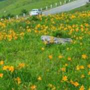 ヒメ日記 2026/04/12 15:24 投稿 ひとみ 桃色奥様 松戸本店