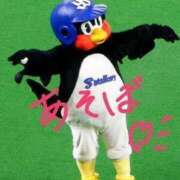 ヒメ日記 2026/04/14 09:54 投稿 ひとみ 桃色奥様 松戸本店