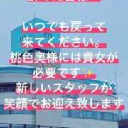 ヒメ日記 2026/05/28 10:15 投稿 ひとみ 桃色奥様 松戸本店