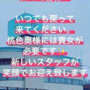 ヒメ日記 2026/07/23 07:18 投稿 ひとみ 桃色奥様 松戸本店