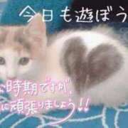 ヒメ日記 2026/08/05 11:59 投稿 ひとみ 桃色奥様 松戸本店