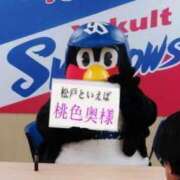 ヒメ日記 2026/08/07 12:46 投稿 ひとみ 桃色奥様 松戸本店