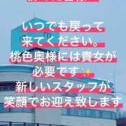 ヒメ日記 2026/09/28 10:07 投稿 ひとみ 桃色奥様 松戸本店