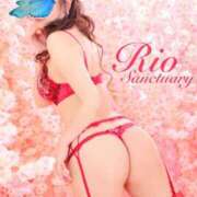 ヒメ日記 2025/04/19 09:21 投稿 リオ サンクチュアリ(上野)