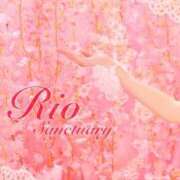 ヒメ日記 2025/05/18 13:49 投稿 リオ サンクチュアリ(上野)