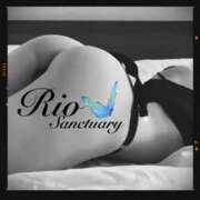 ヒメ日記 2025/10/27 13:16 投稿 リオ サンクチュアリ(上野)