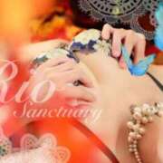 ヒメ日記 2025/11/22 08:14 投稿 リオ サンクチュアリ(上野)