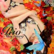 リオ ささやかに、今週限定☆ サンクチュアリ(上野)