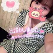 いずみ にゅ〜 横浜Cute