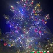 ヒメ日記 2025/12/25 16:59 投稿 かえら ルージュ