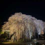 ヒメ日記 2026/04/05 17:23 投稿 かえら ルージュ