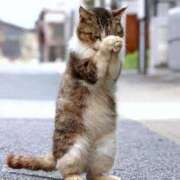 ヒメ日記 2025/01/17 22:09 投稿 ルル キャンディ(鹿児島)