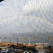 ヒメ日記 2025/02/13 17:03 投稿 ルル キャンディ(鹿児島)