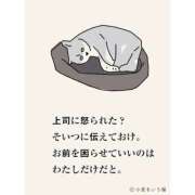 ヒメ日記 2025/03/04 18:19 投稿 ルル キャンディ(鹿児島)