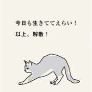 ヒメ日記 2025/03/18 16:03 投稿 ルル キャンディ(鹿児島)